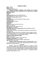 Реферат 'Ķengurveidīgie', 12.