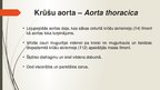 Презентация 'Aorta', 14.