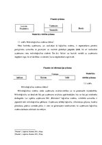 Отчёт по практике 'Uzņēmuma SIA "Baltrotors" loģistikas sistēmas raksturojums', 10.