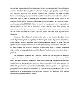 Отчёт по практике 'Uzņēmuma SIA "Baltrotors" loģistikas sistēmas raksturojums', 20.