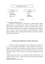 Отчёт по практике 'Uzņēmuma SIA "Baltrotors" loģistikas sistēmas raksturojums', 24.