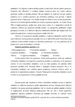 Отчёт по практике 'Uzņēmuma SIA "Baltrotors" loģistikas sistēmas raksturojums', 34.