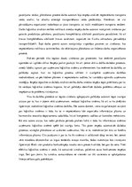 Отчёт по практике 'Uzņēmuma SIA "Baltrotors" loģistikas sistēmas raksturojums', 43.