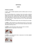 Образец документа 'Studiju kurss “Pirmsskolas speciālā pedagoģija” Praktiskais darbs
Pašizpausme m', 2.