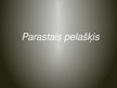 Презентация 'Parastais pelašķis', 1.