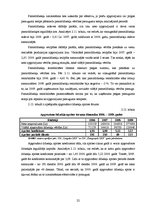 Реферат 'SIA "Latgales lauku konsultāciju birojs" finanšu analīze', 22.