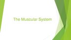 Презентация 'The Muscular System', 1.