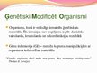Презентация 'Ģenētiski modificēti organismi - kas tie ir un kur tos izmanto', 2.