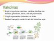 Презентация 'Ģenētiski modificēti organismi - kas tie ir un kur tos izmanto', 16.