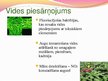 Презентация 'Ģenētiski modificēti organismi - kas tie ir un kur tos izmanto', 19.