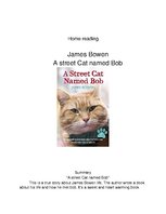 Эссе 'Home Reading. James Bowen "A Street Cat Named Bob"', 1.
