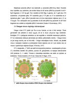 Реферат 'Dengue vīrusa EDIII rajona eksponēšana uz fr apvalka proteīna virsmas', 6.