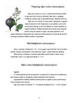 Реферат 'Eļļas augu audzēšanas tehnoloģijas un izmantošana', 21.
