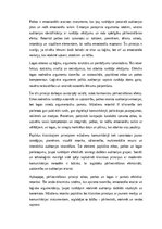 Эссе 'Retorika un komunikācijas māksla: pārliecināšanas principi un efektīvas runas st', 3.