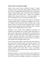 Эссе 'Retorika un komunikācijas māksla: pārliecināšanas principi un efektīvas runas st', 4.