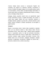 Эссе 'Retorika un komunikācijas māksla: pārliecināšanas principi un efektīvas runas st', 6.