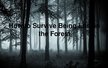 Презентация 'How to Survive Being Lost in the Forest', 1.