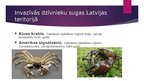 Презентация 'Invazīvās dzīvnieku sugas Latvijā', 5.