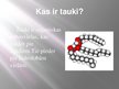 Презентация 'Tauki', 3.