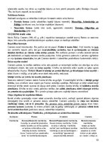 Конспект 'Tiesību teorija', 63.