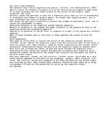 Эссе 'Digestive System', 3.