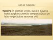 Презентация 'Tundra', 2.