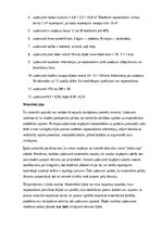 Образец документа 'Matemātika – skaitļošana, loģika un praktiskie uzdevumi', 20.