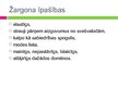 Презентация 'Žargona un slenga loma saskarsmē', 9.