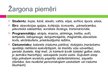 Презентация 'Žargona un slenga loma saskarsmē', 10.