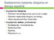 Презентация 'Žargona un slenga loma saskarsmē', 13.