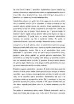 Эссе 'Apdrošināšana kā drošības un atbildības mehānisms sabiedrībā', 2.