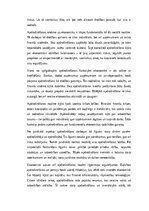 Эссе 'Apdrošināšana kā drošības un atbildības mehānisms sabiedrībā', 4.