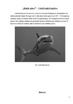 Реферат 'Niršana pie baltās nāves - haizivīm. Tūrisms', 4.