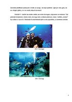 Реферат 'Niršana pie baltās nāves - haizivīm. Tūrisms', 8.