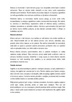 Конспект 'Atkritumu šķirošana — problēma un nepieciešamība', 6.