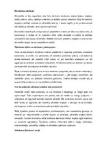 Конспект 'Atkritumu šķirošana — problēma un nepieciešamība', 7.
