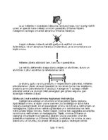 Образец документа 'Ekspluatācijas lietošanas instrukcija', 8.