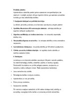 Конспект 'Mākslīgā intelekta ētiskās dilemmas, draudi cilvēcei un juridiskie izaicinājumi', 9.