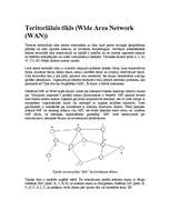 Конспект 'Pilsēttīkls, lokālais tīkls, teritoriālais tīkls, maršrutētāji, tīkls Ethernet u', 3.