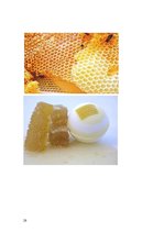 Реферат 'Medus un citu bišu produktu pielietojums ārstniecībā un kosmetoloģijā', 28.