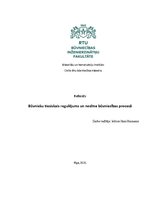 Реферат 'Būvnieku tiesiskais regulējums un nozīme būvniecības procesā', 1.