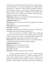 Дипломная 'Personas ar maziem bērniem darba tirgū: diskriminācijas aspekts', 39.