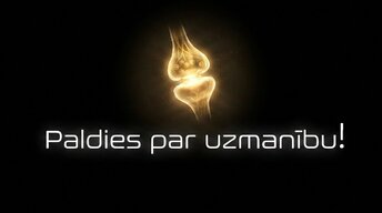 Презентация 'Muguras smadzenes un to vadīšanas ceļi', 13.