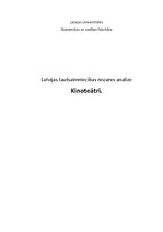 Реферат 'Latvijas tautsaimniecības nozares analīze. Kinoteātri', 1.