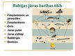 Презентация 'Baltijas jūra', 11.