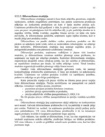 Реферат 'A/s "Valmieras stikla šķiedra" stratēģijas izvēle un realizēšana', 15.