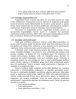 Реферат 'A/s "Valmieras stikla šķiedra" stratēģijas izvēle un realizēšana', 23.