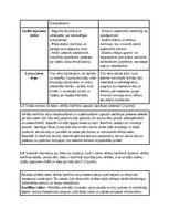 Конспект 'Vērtību konflikti', 2.