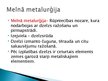 Презентация 'Metalurģija', 14.