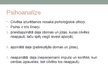 Презентация 'Personība. Psihodinamiskais novirziens. Freida teorija', 5.